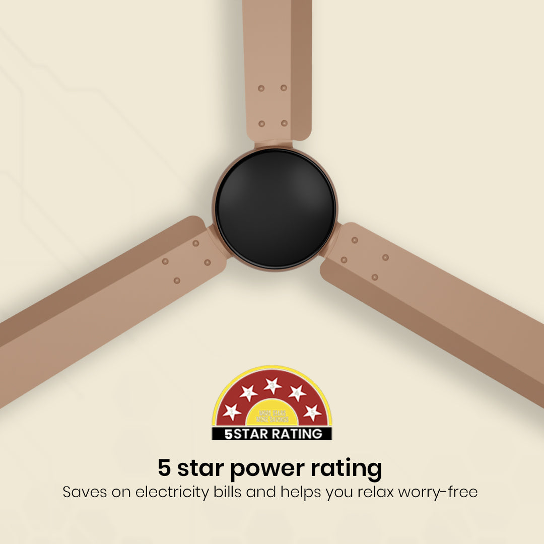 Crompton Energion Nucleoid BLDC Ceiling Fan