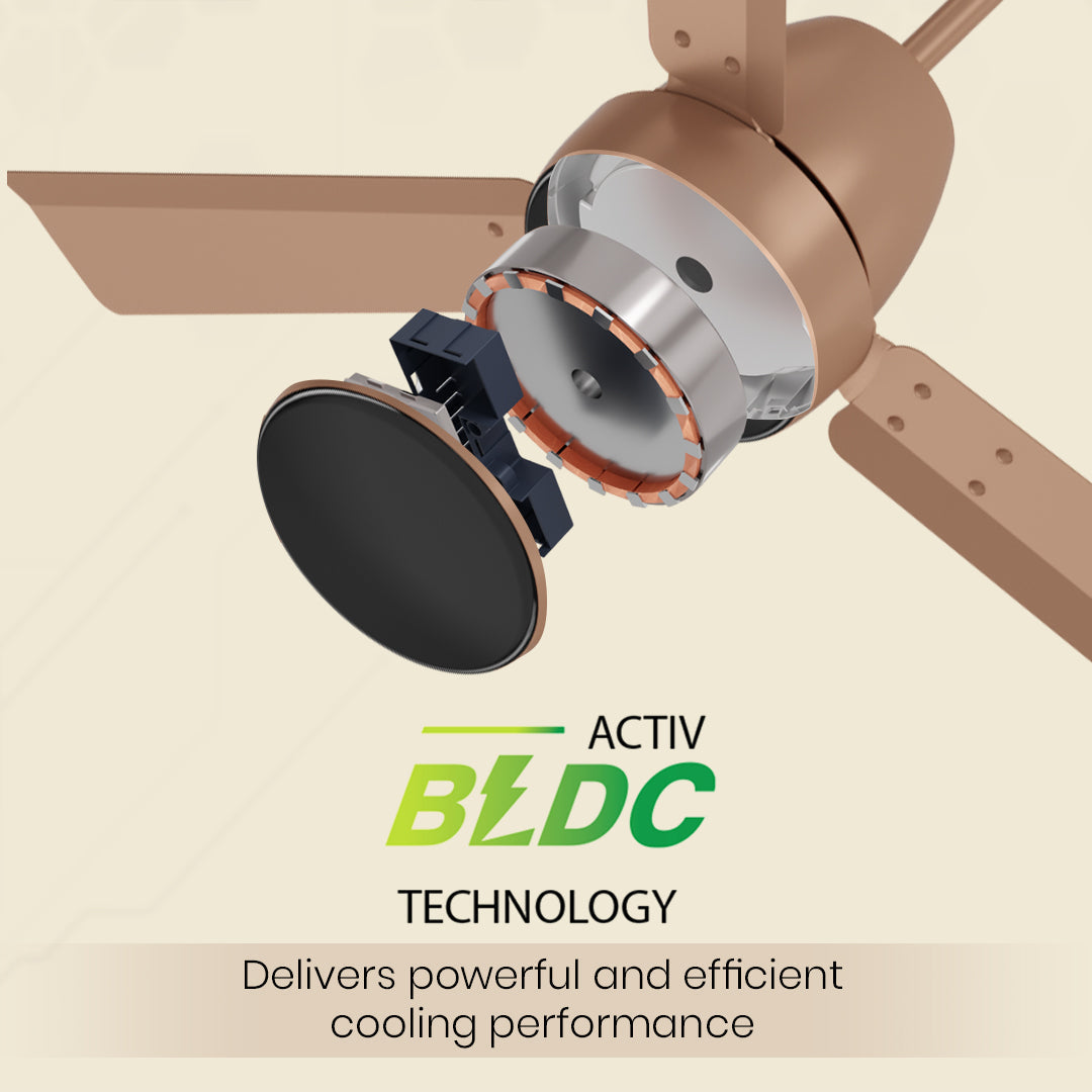 Crompton Energion Nucleoid BLDC Ceiling Fan