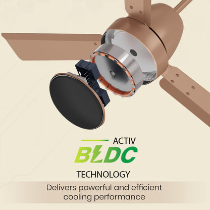 Crompton Energion Nucleoid BLDC Ceiling Fan