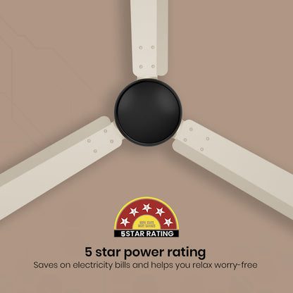 Crompton Energion Nucleoid BLDC Ceiling Fan