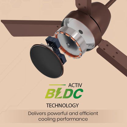 Crompton Energion Nucleoid BLDC Ceiling Fan