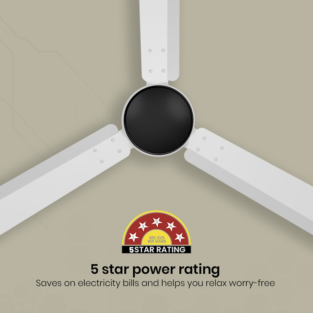 Crompton Energion Nucleoid BLDC Ceiling Fan
