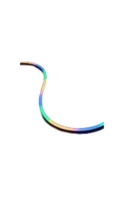 Neon Flex