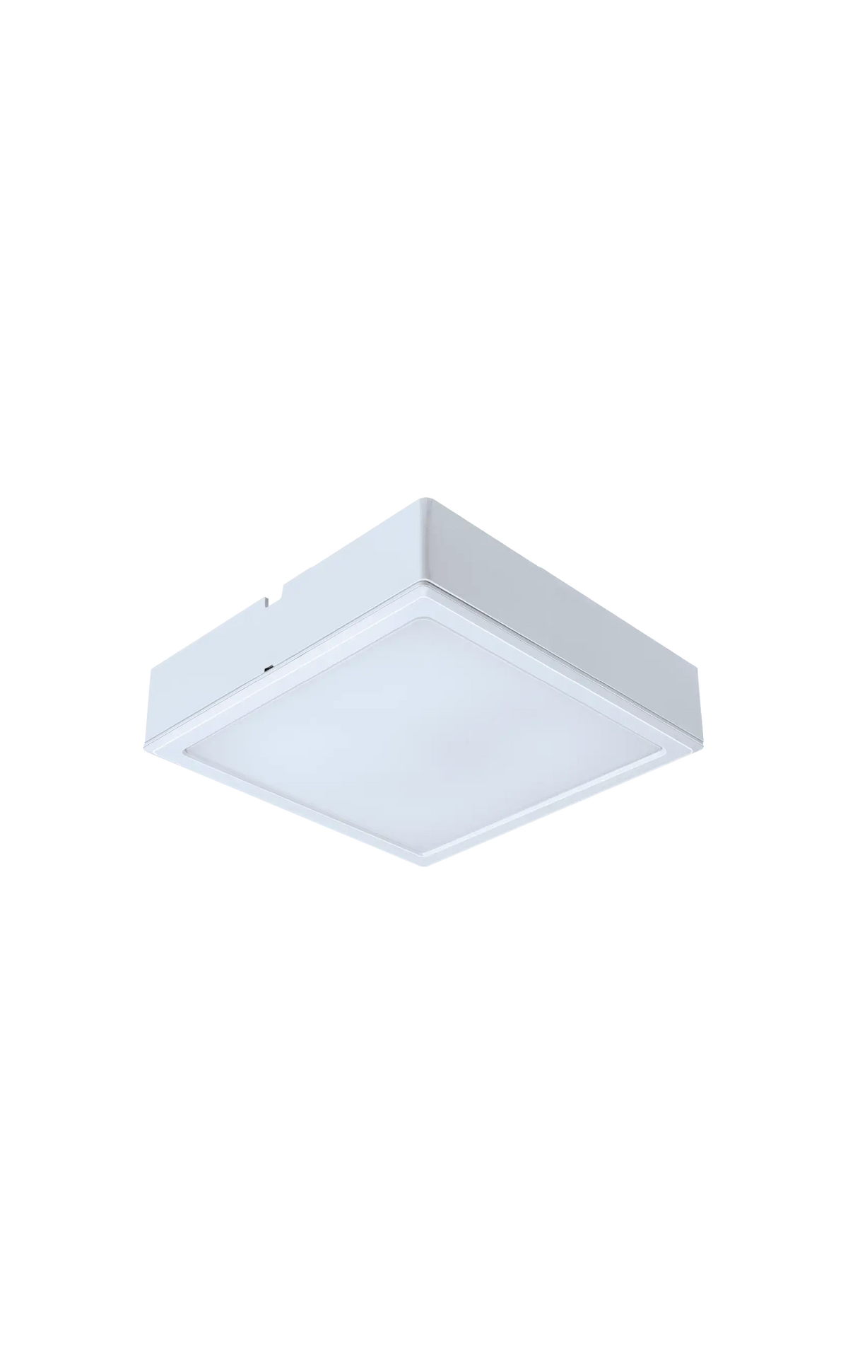 Quartz+