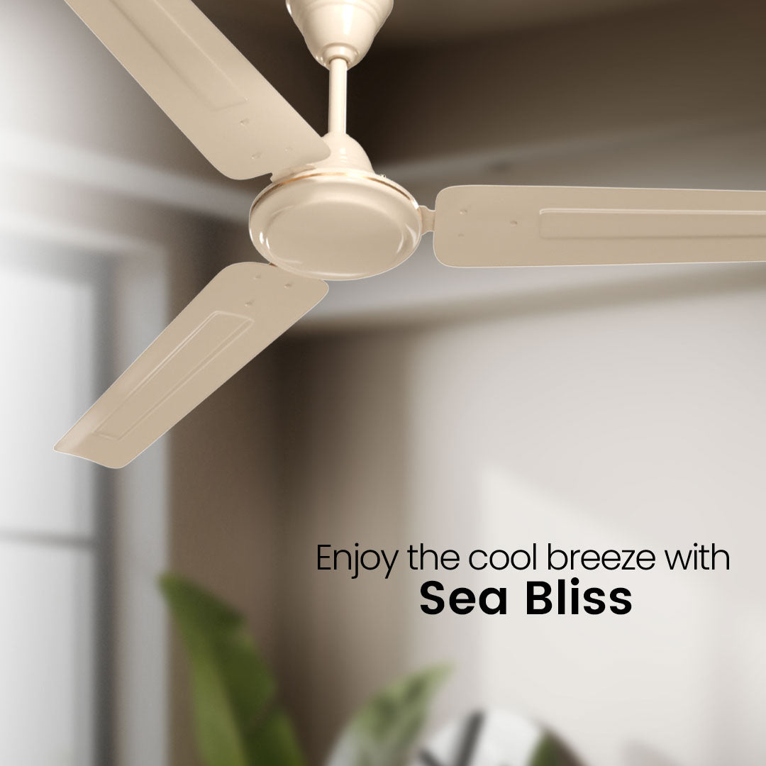 Crompton Surebreeze Sea Bliss | Star Rated Ceiling Fan_8