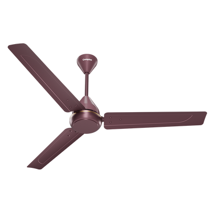 Crompton Energion Elevate 1200mm BLDC Ceiling Fan