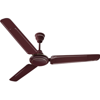 Crompton Surebreeze Alphabriz |Star Ceiling Fan