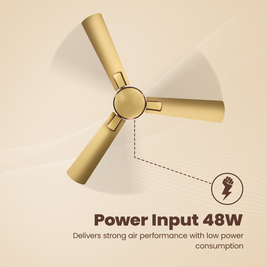 Crompton High Speed Rapidus Ceiling Fan_9