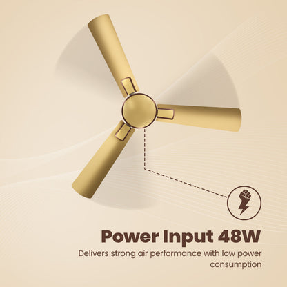 Crompton High Speed Rapidus Ceiling Fan