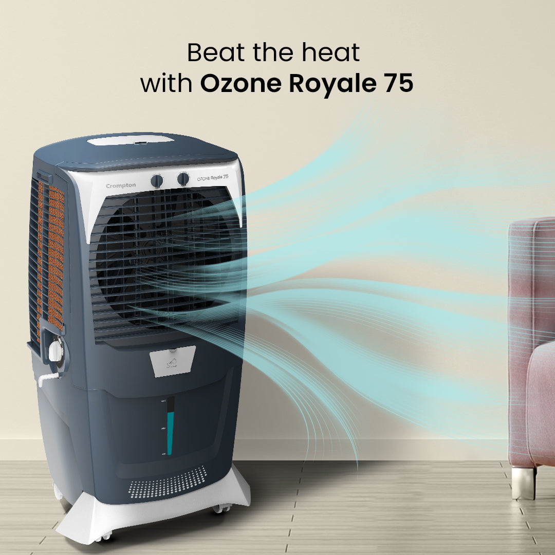 Crompton Ozone Royal